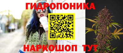прущая мука Брянск